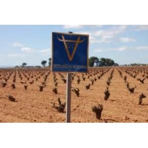 Bodegas Volver - Alicante