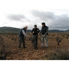 Bodegas Alto Moncayo -